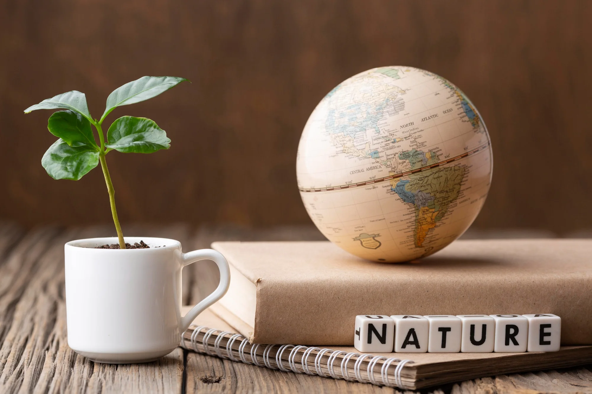 dsf-climate-literacy-and-sustainability-learning