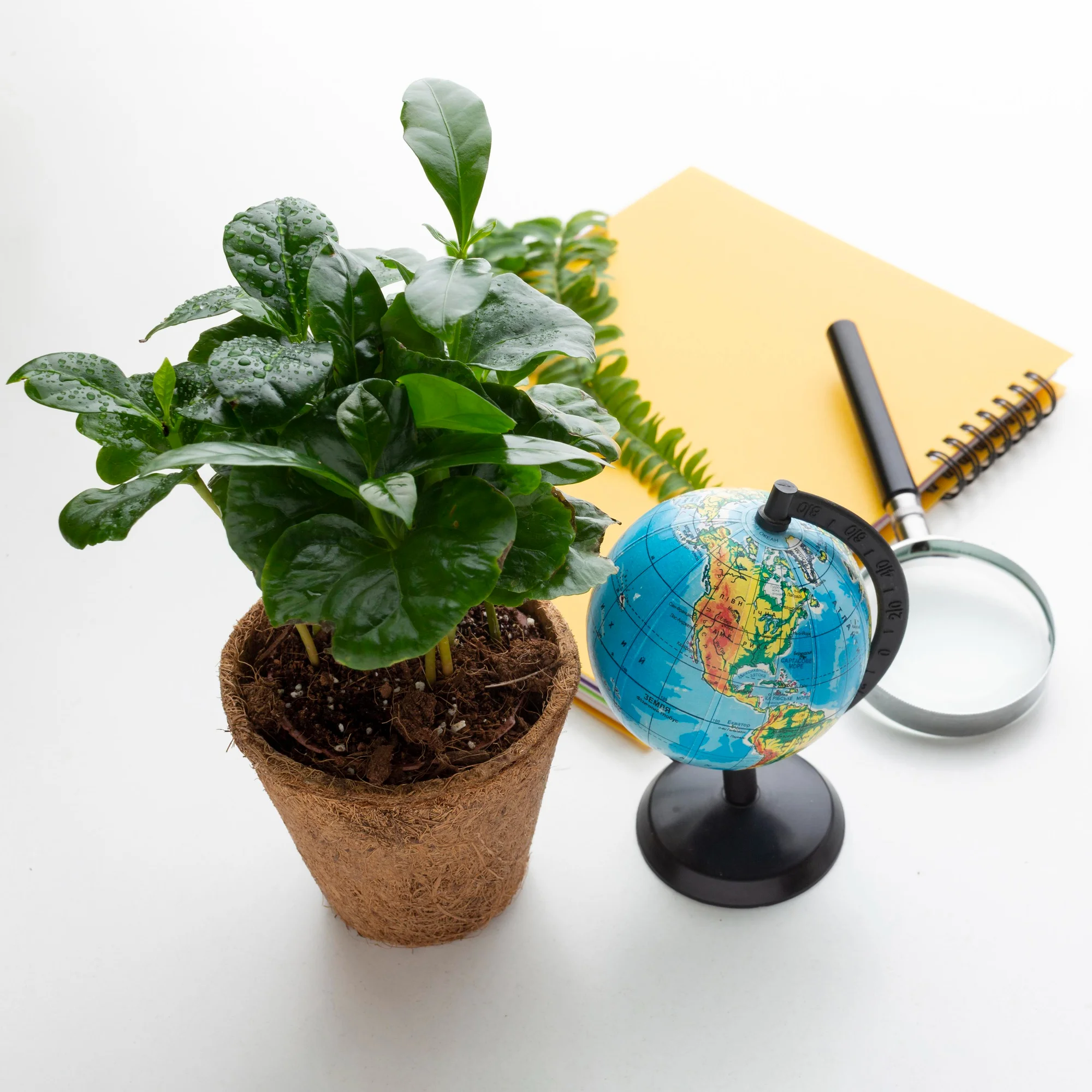 dsf-sustainability-research-and-systems-strategy