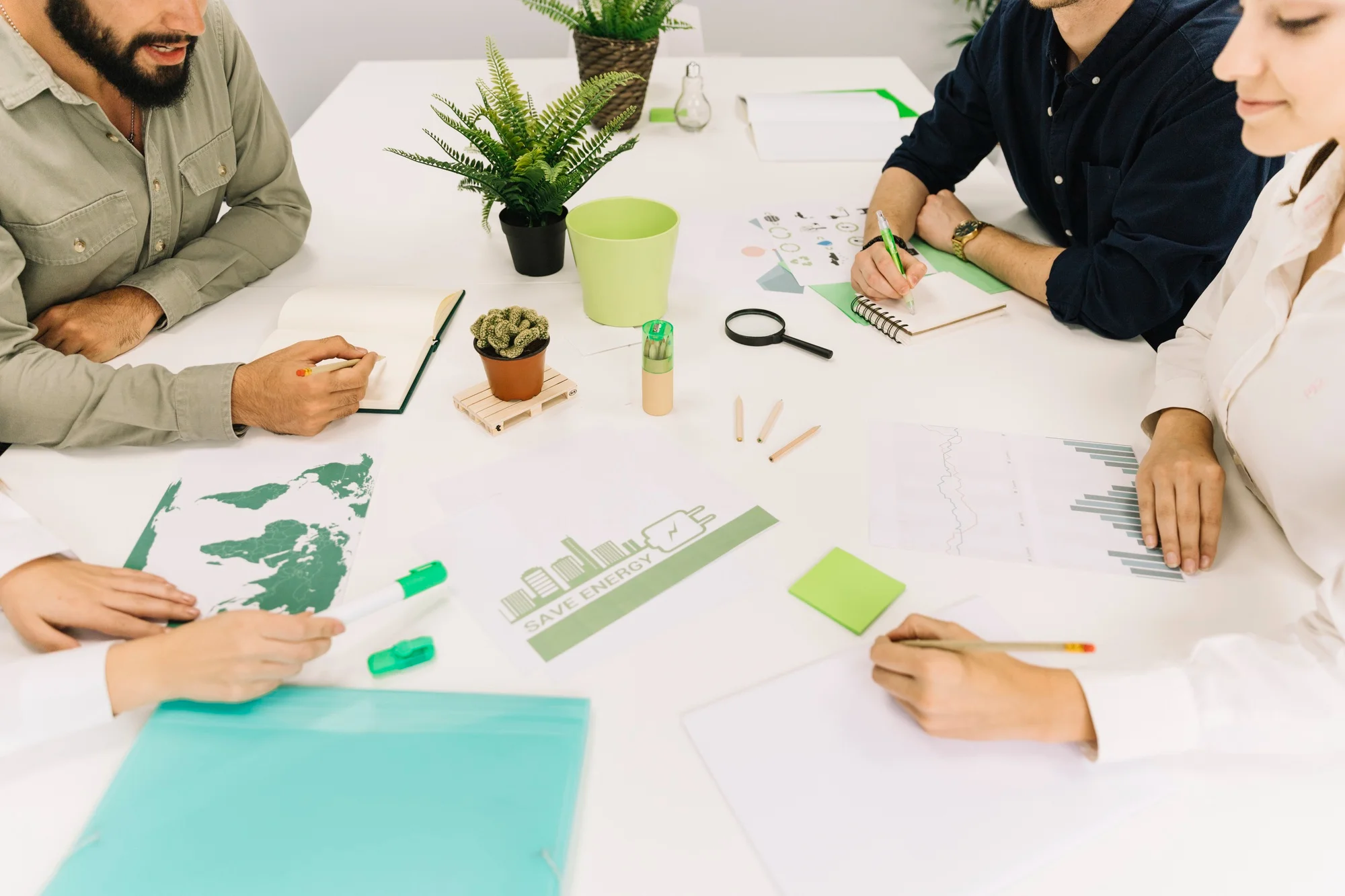 dsf-sustainable-transitions-planning