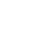 shape-img-4.png